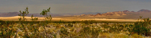 Mojave: Photograph courtesy of the US  National Parks Service